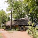 ZMB EAS SouthLuangwa 2016DEC10 WildlifeCamp 017 : 2016, 2016 - African Adventures, Africa, Date, December, Eastern, Mfuwe, Month, Places, South Luangwa, Trips, Wildlife Camp, Year, Zambia